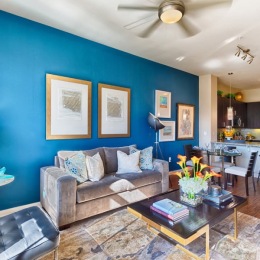 a living room with a blue statement wall
